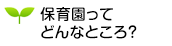 保育園ってどんなところ？