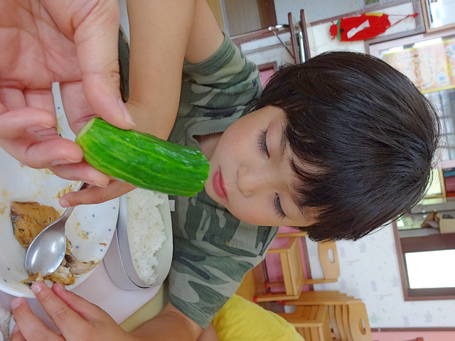 きゅうりの丸かじり 黒森保育園 酒田保育協会 きゅうりの丸かじり 黒森保育園 酒田保育協会