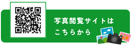 写真閲覧サイトはこちらから