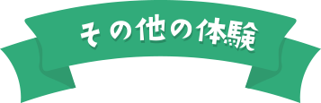 その他の体験